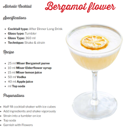 Xi-rô vị hoa cơm cháy–Mixer- premium bar syrup - elderflower 750ml