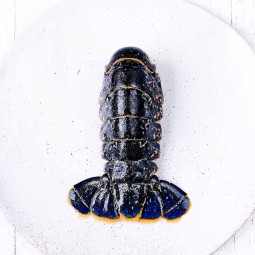 European Lobster Tail Shell On Frz (~200g) - Cinq Degrés Ouest