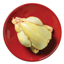 Yellow Baby Chicken Fra Frz (~600G) - Savel