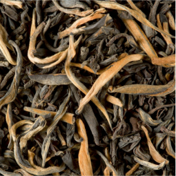 Chine Yunnan GFOP (1kg) - Black Tea - Dammann Frères
