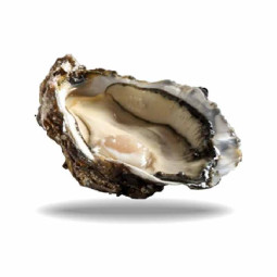 Black Pearl N2 24pc Oysters Brittany (2.5kg) - Cadoret