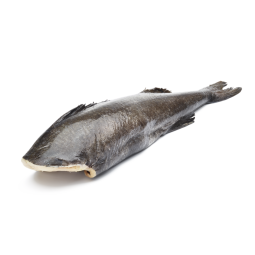 Whole Farmed Black Cod Frz (~3kg) - Terre D'Azur